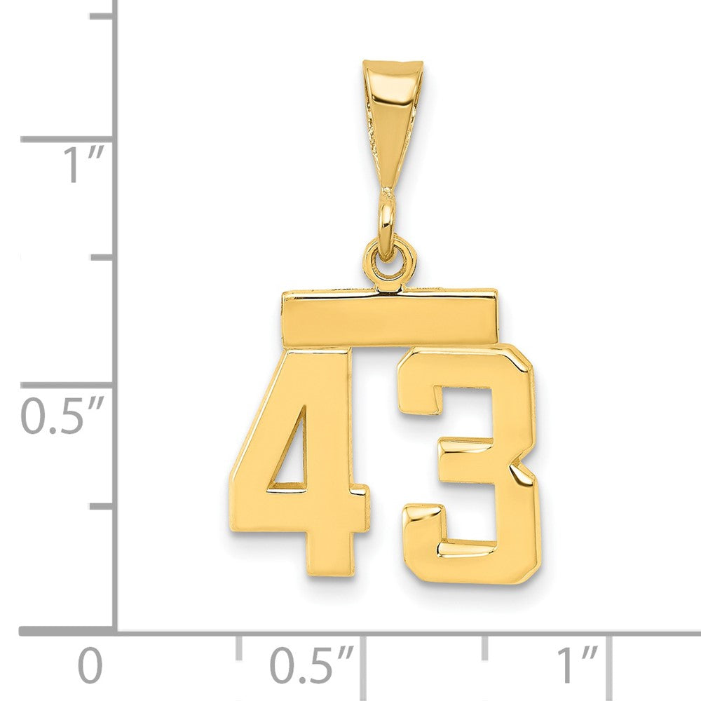 14k Small Polished Number 43 Charm