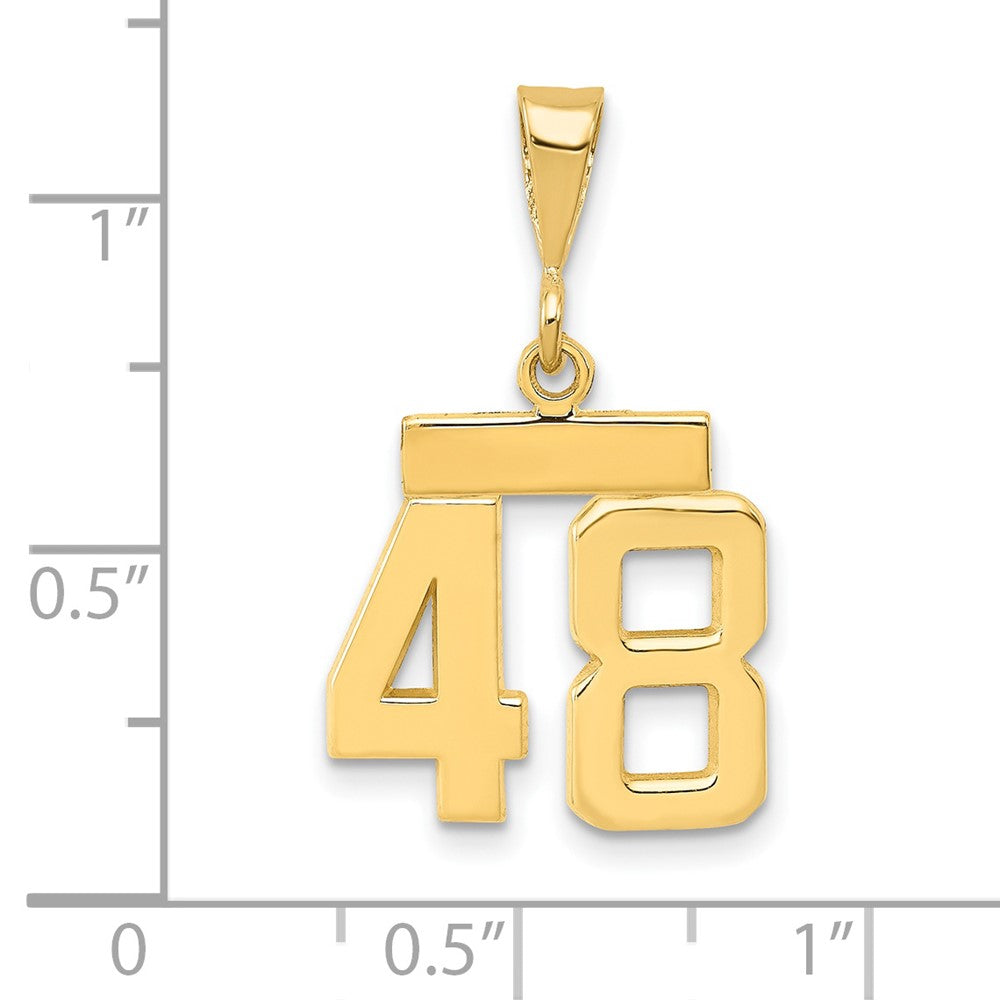 14k Small Polished Number 48 Charm