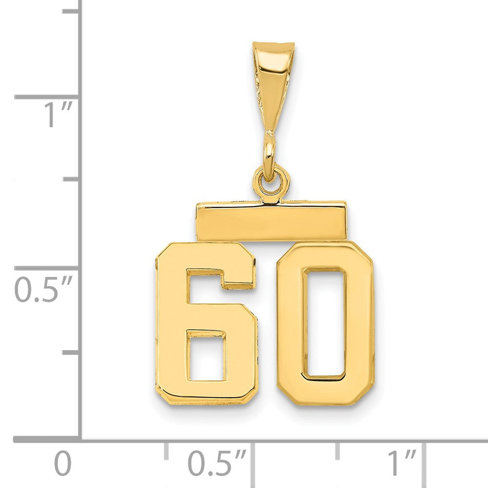 14k Small Polished Number 60 Charm