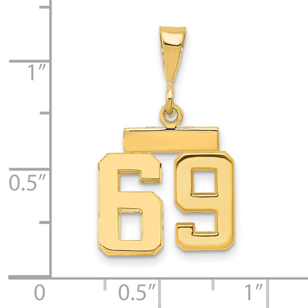 14k Small Polished Number 69 Charm
