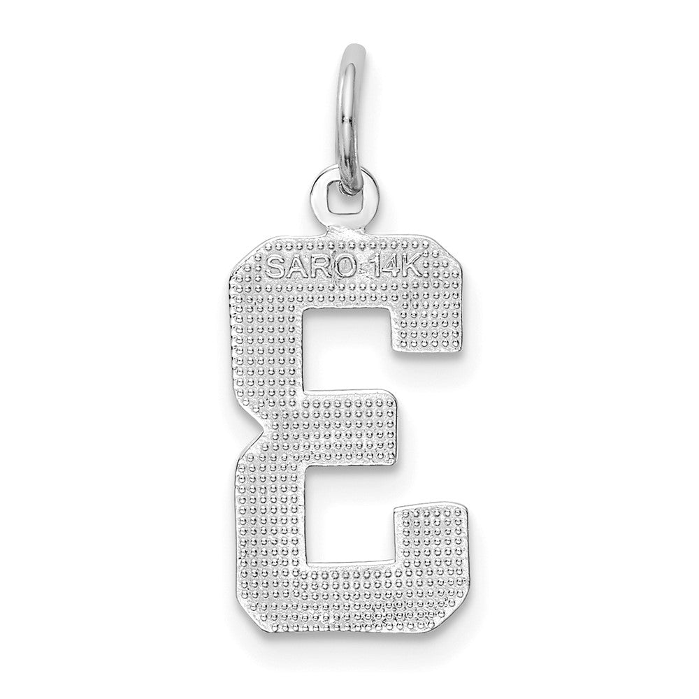 14kw Medium Polished Number 3 Charm