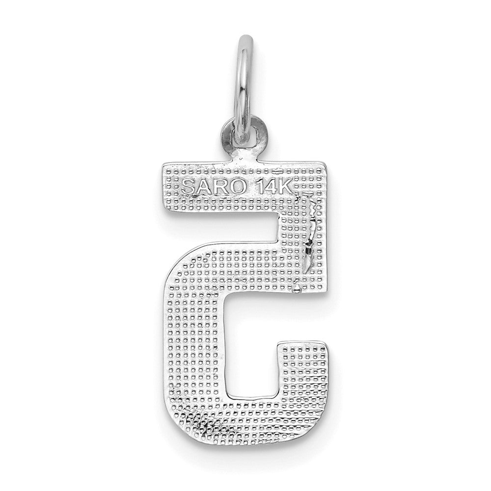 14kw Medium Polished Number 5 Charm