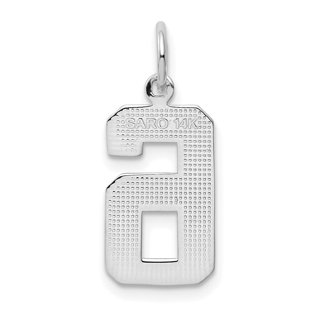 14kw Medium Polished Number 6 Charm