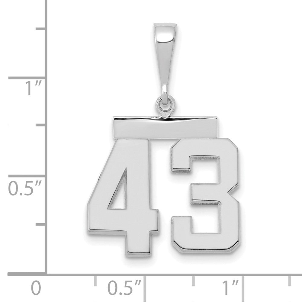 14kw Medium Polished Number 43 Charm