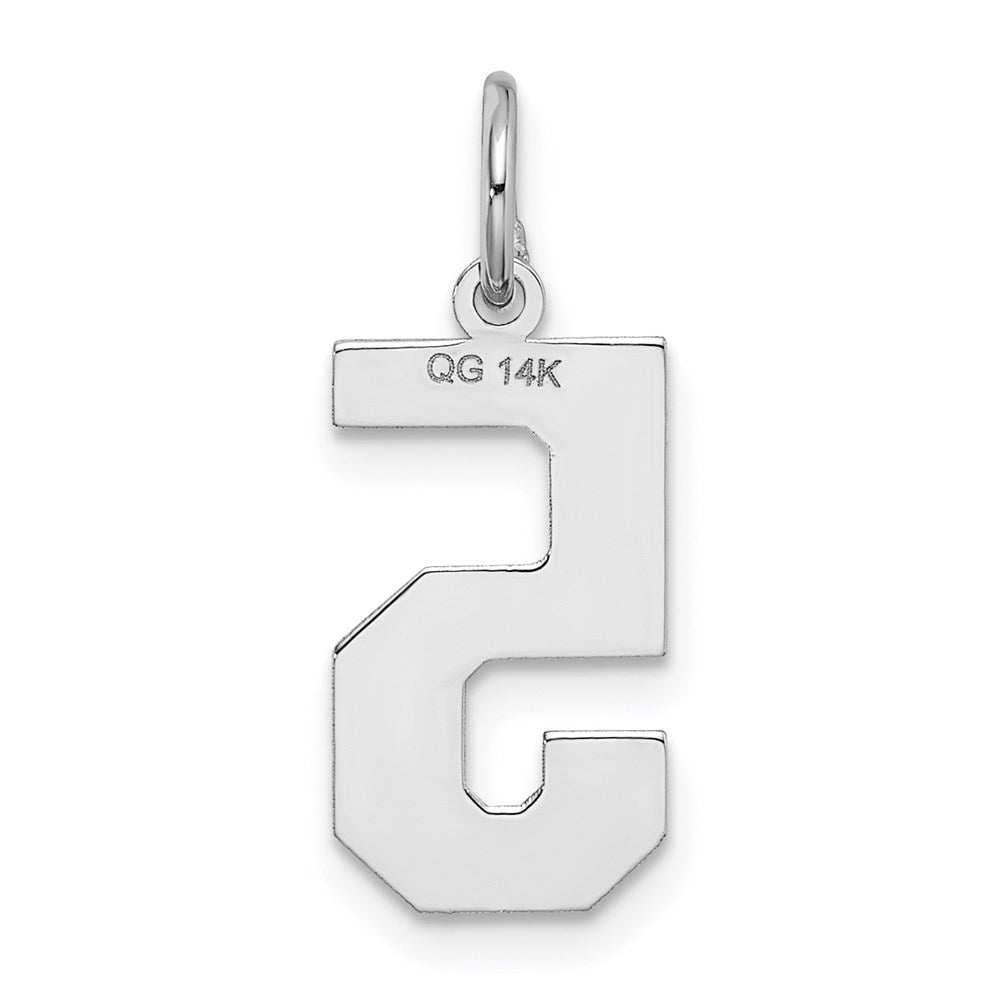 14kw Medium Satin Number 5 Charm