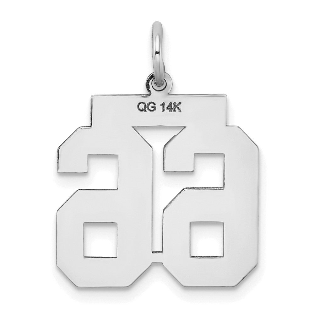 14kw Medium Satin Number 66 Charm