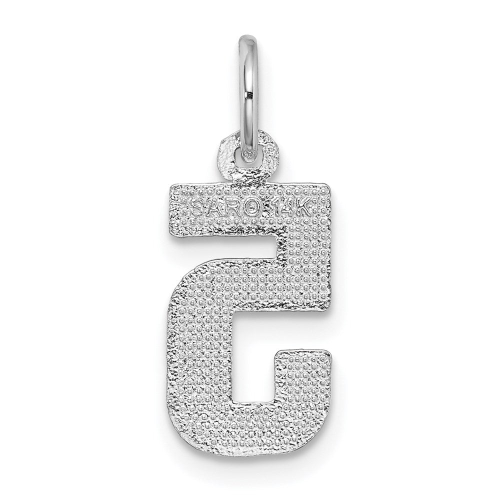14kw Small Brushed Diamond-cut Number 5 Charm