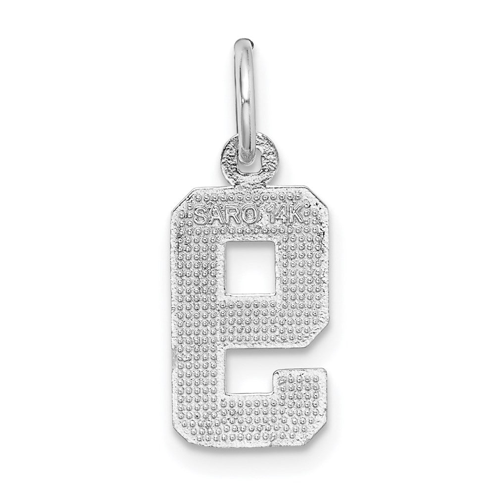 14kw Small Brushed Diamond-cut Number 9 Charm