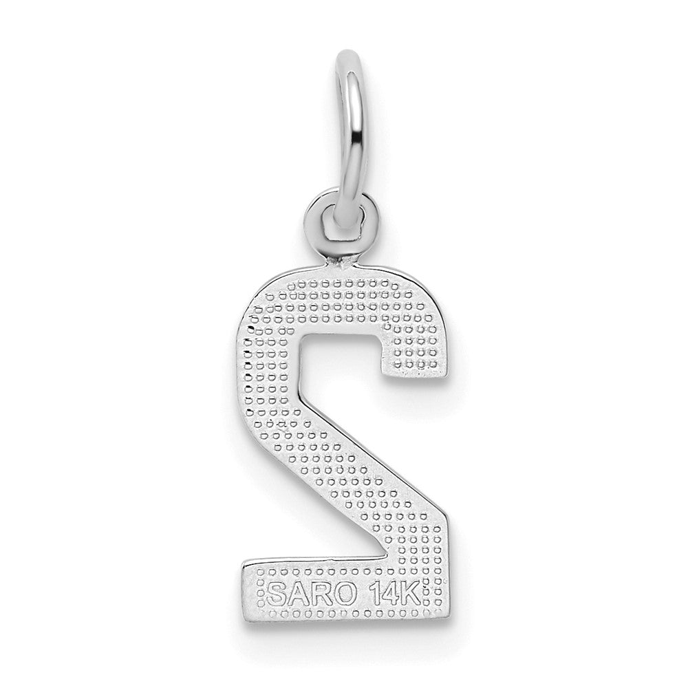 14kw Small Polished Number 2 Charm
