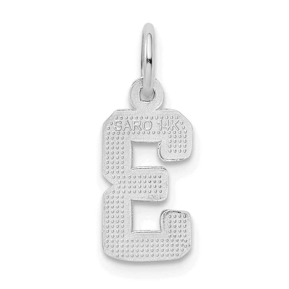 14kw Small Polished Number 3 Charm
