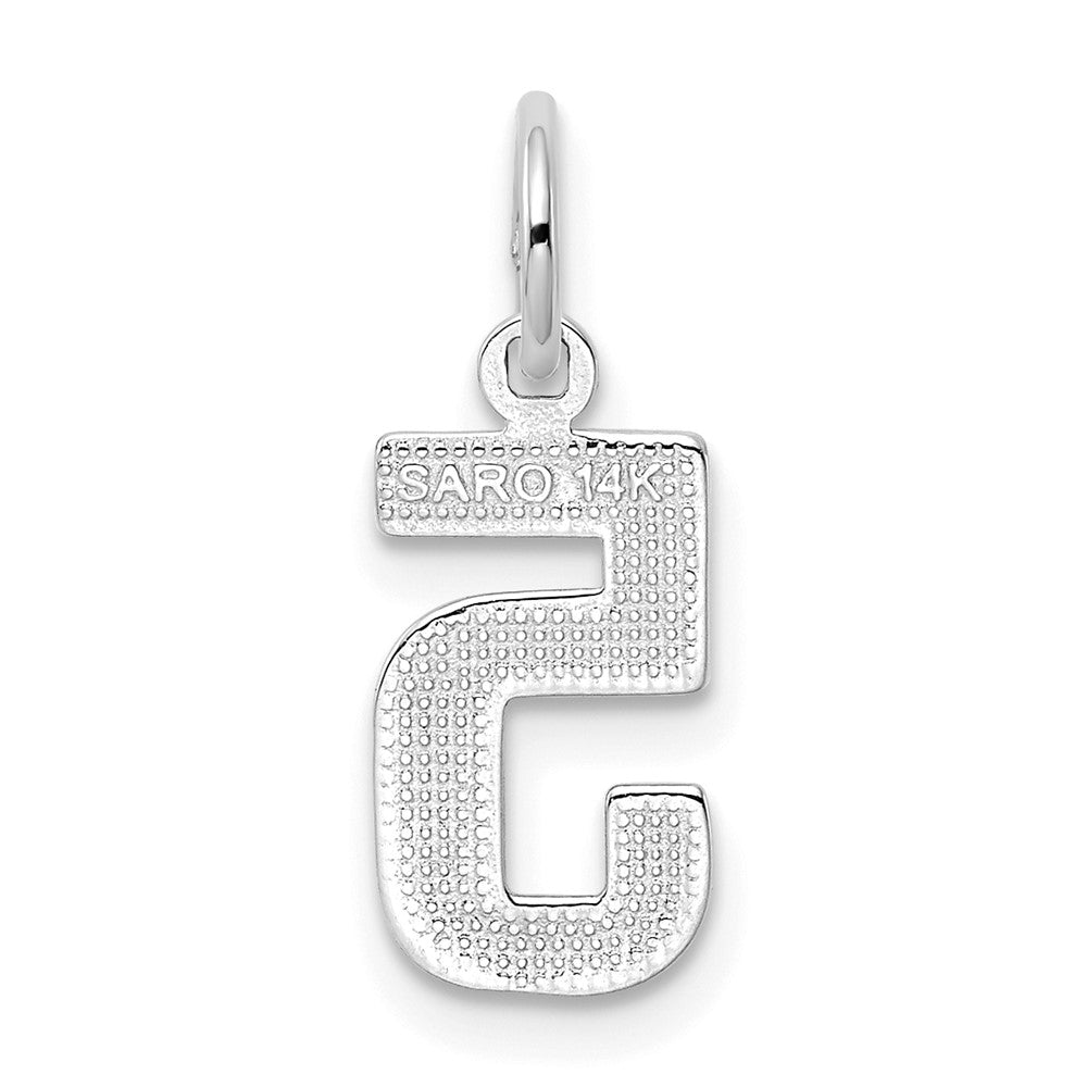 14kw Small Polished Number 5 Charm