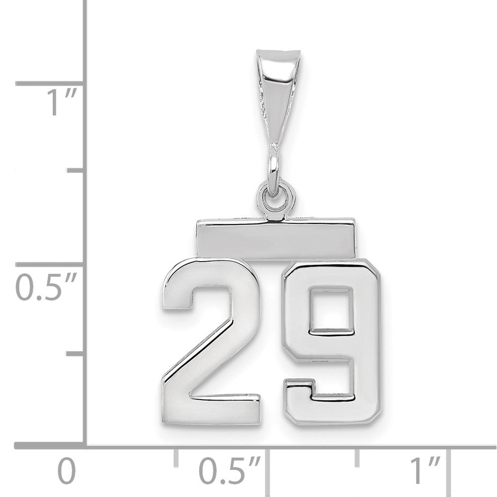 14kw Small Polished Number 29 Charm