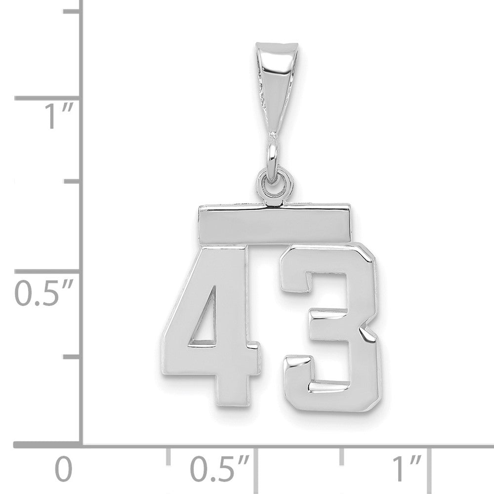 14kw Small Polished Number 43 Charm