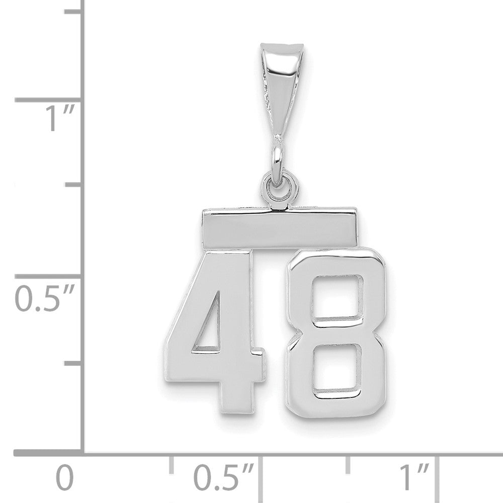 14kw Small Polished Number 48 Charm