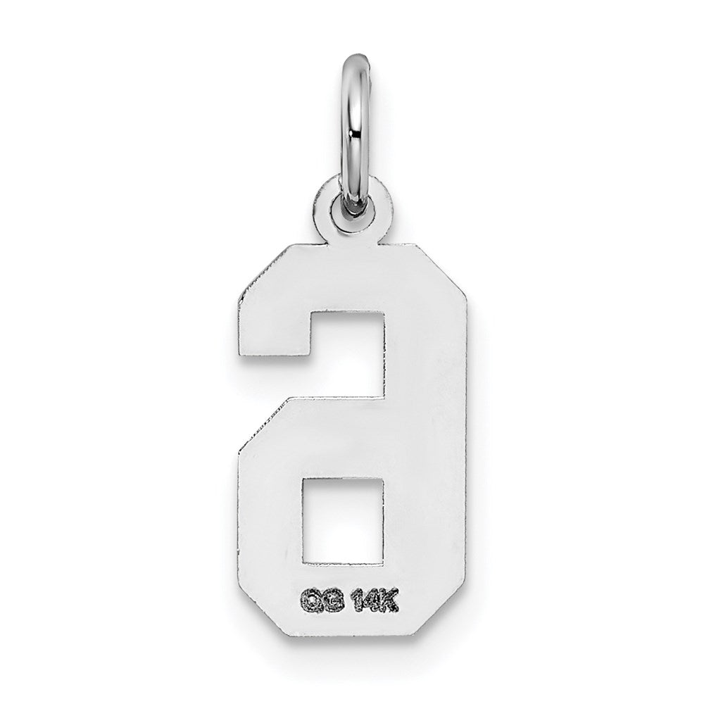 14kw Small Satin Number 6 Charm