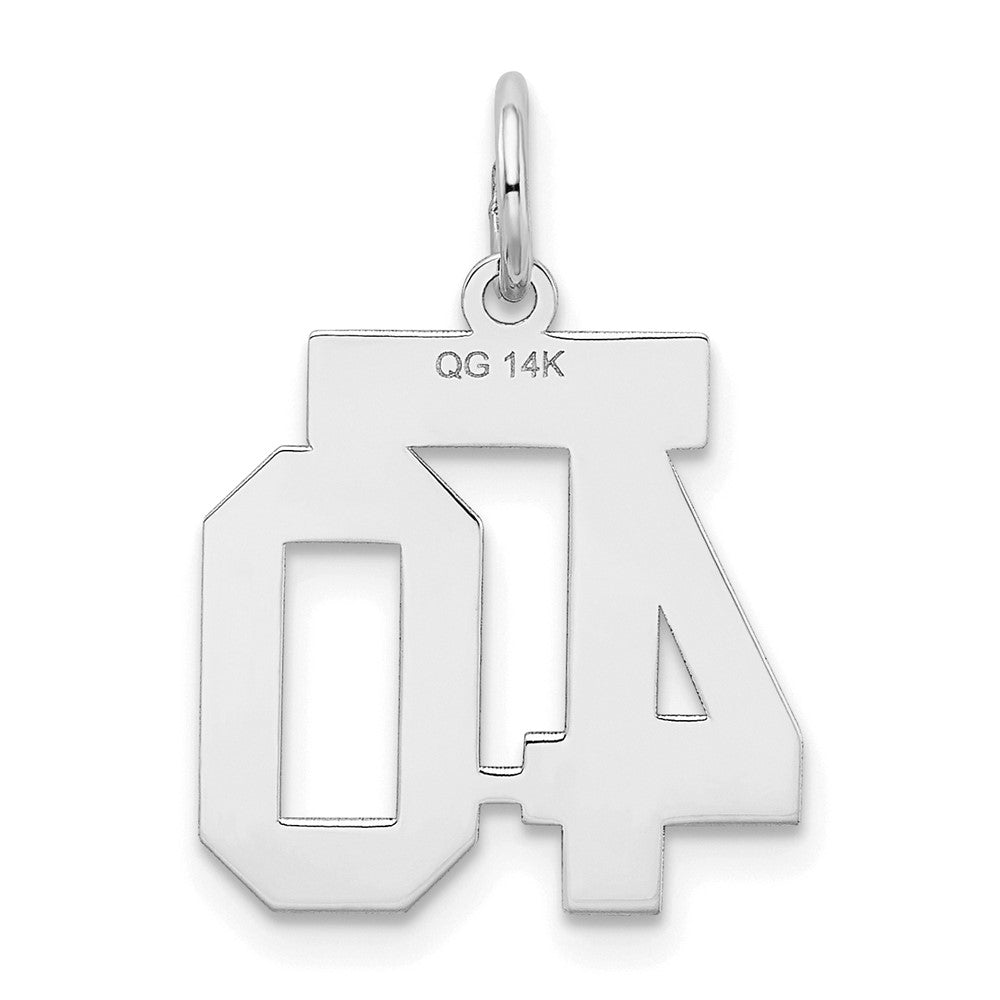 14kw Small Satin Number 40 Charm