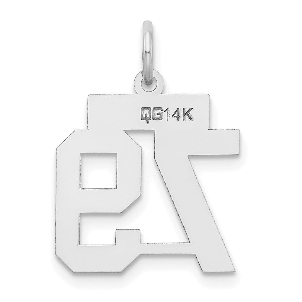 14kw Small Satin Number 79 Charm