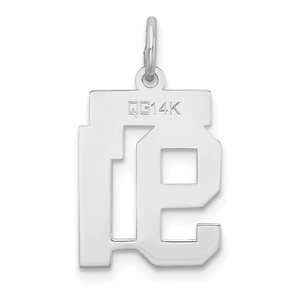 14kw Small Satin Number 91 Charm