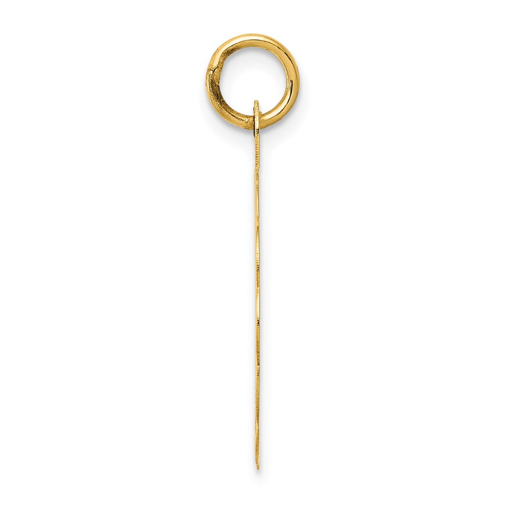 14k 25th ANNIVERSARY Disc Charm