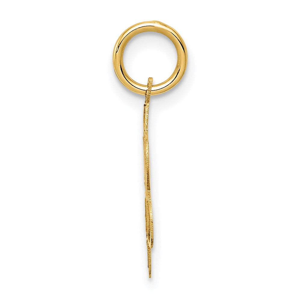 14k SWEET 16 Disc Charm