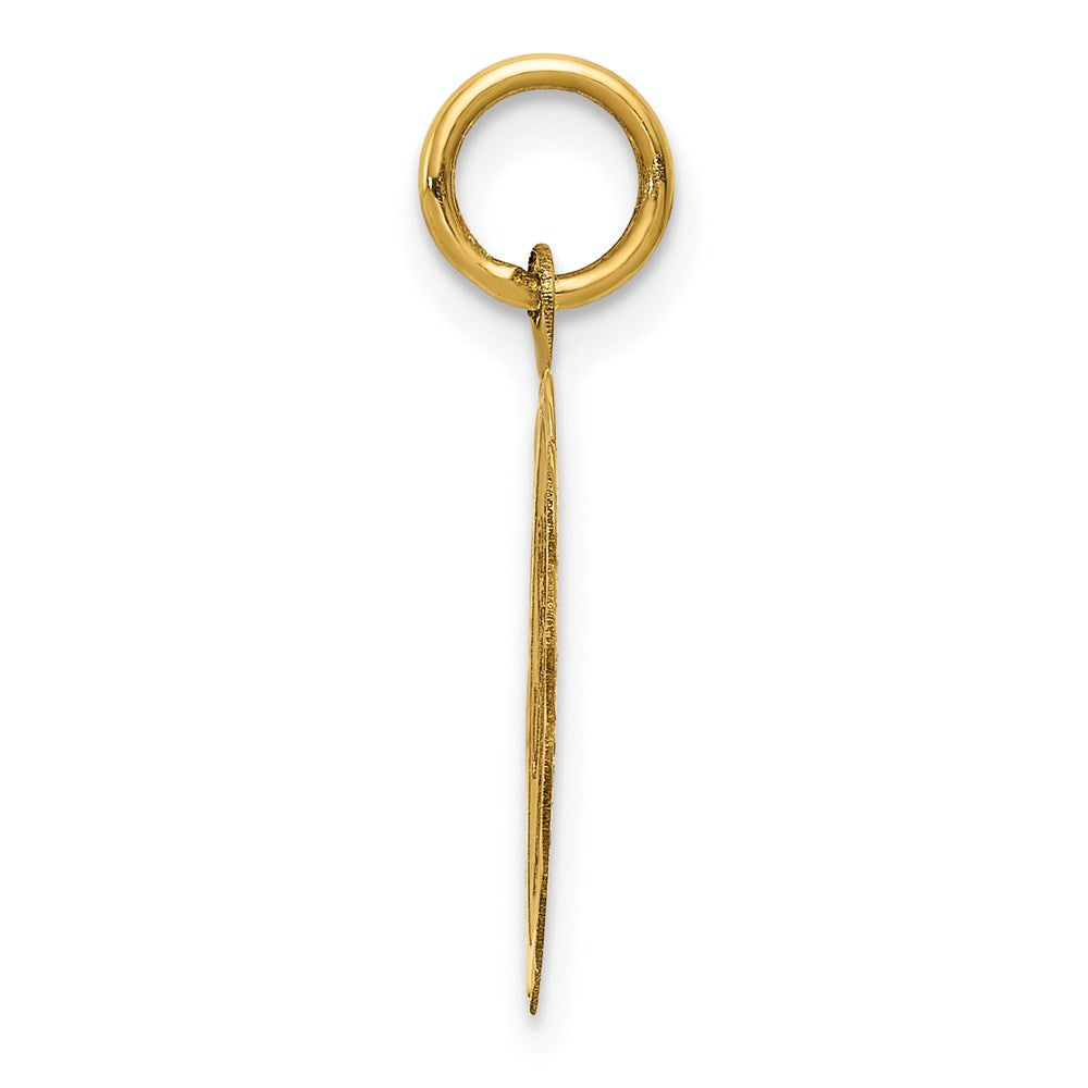 14k SWEET 16 Disc Charm