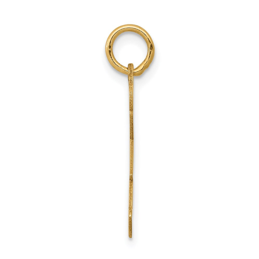 14k Kid Charm