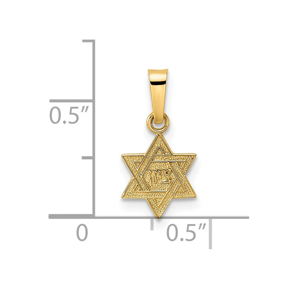14k Polished & Textured Solid Star of David Pendant