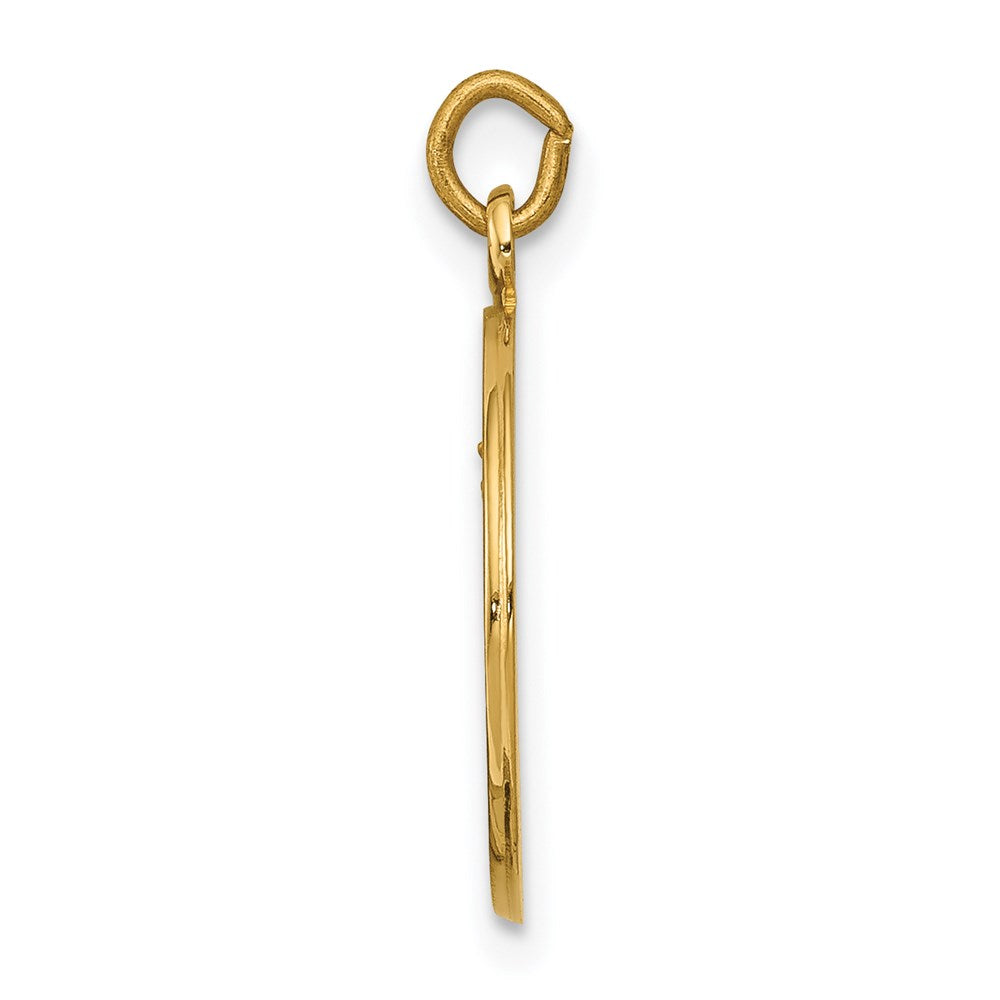 14k Our Lady of Mount Carmel Medal Charm