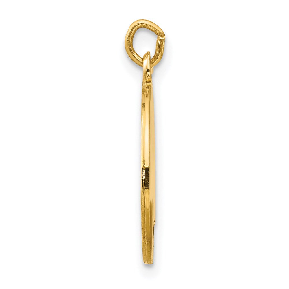 14k Saint Luke Medal Charm