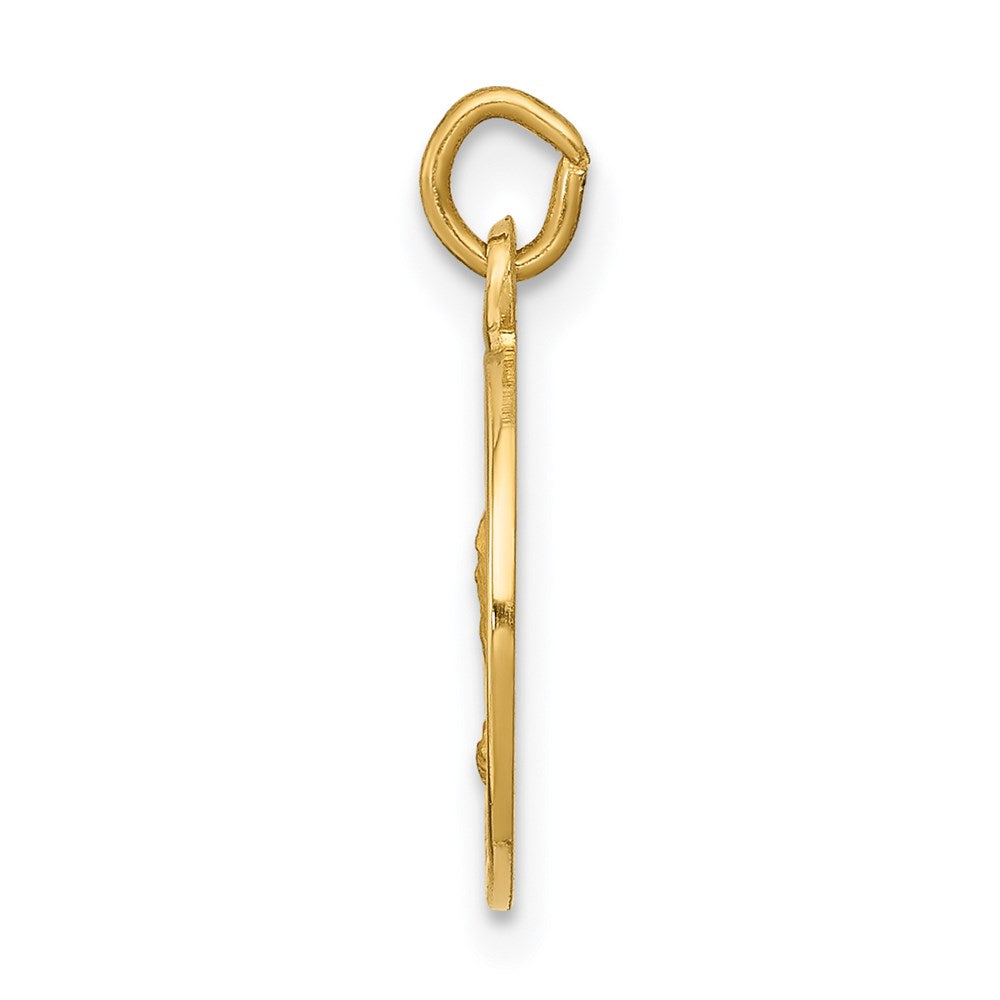 14k Saint Andrew Medal Charm