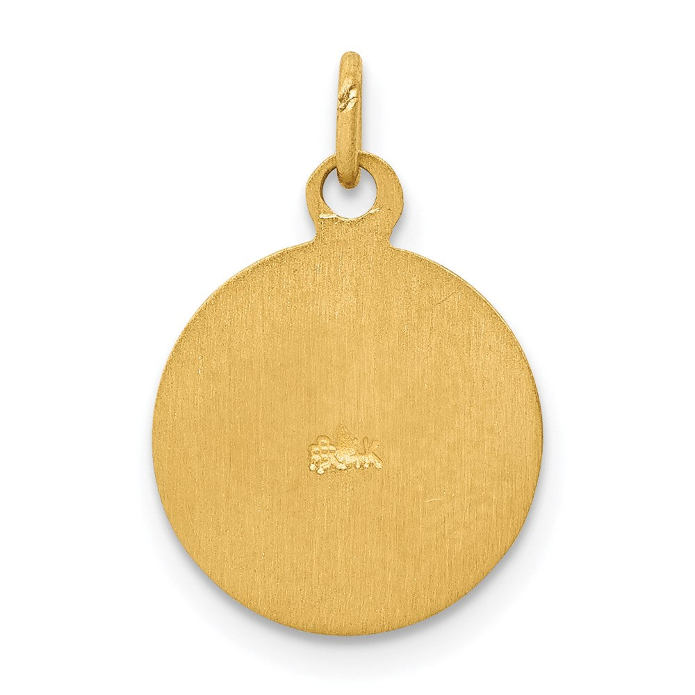 14k Saint Patrick Medal Charm