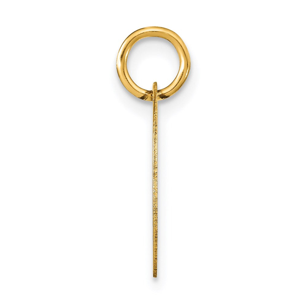 14k Polished Black Enamel Letter C Initial Disk Charm