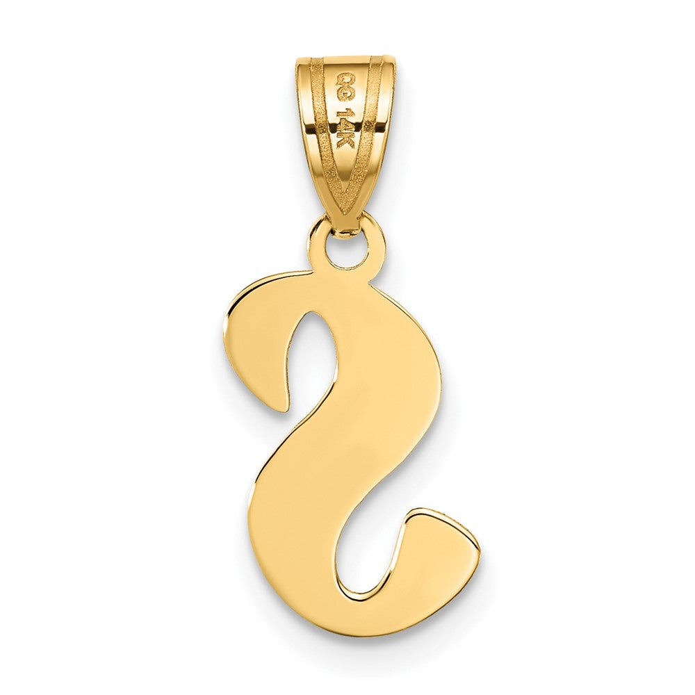 14k Polished Script Letter S Initial Pendant