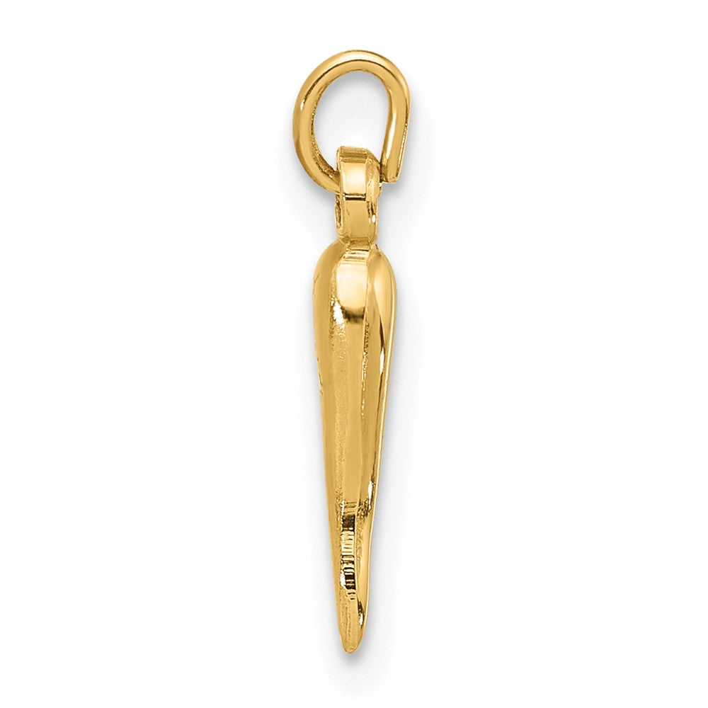 14k Polished Hollow Italian Horn Pendant