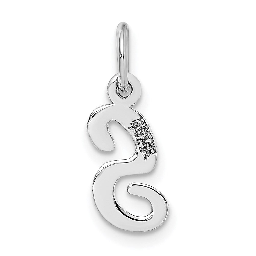 14k White Gold Small Script Letter S Initial Charm