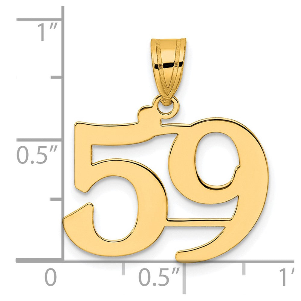 14k Polished Number 59 Pendant