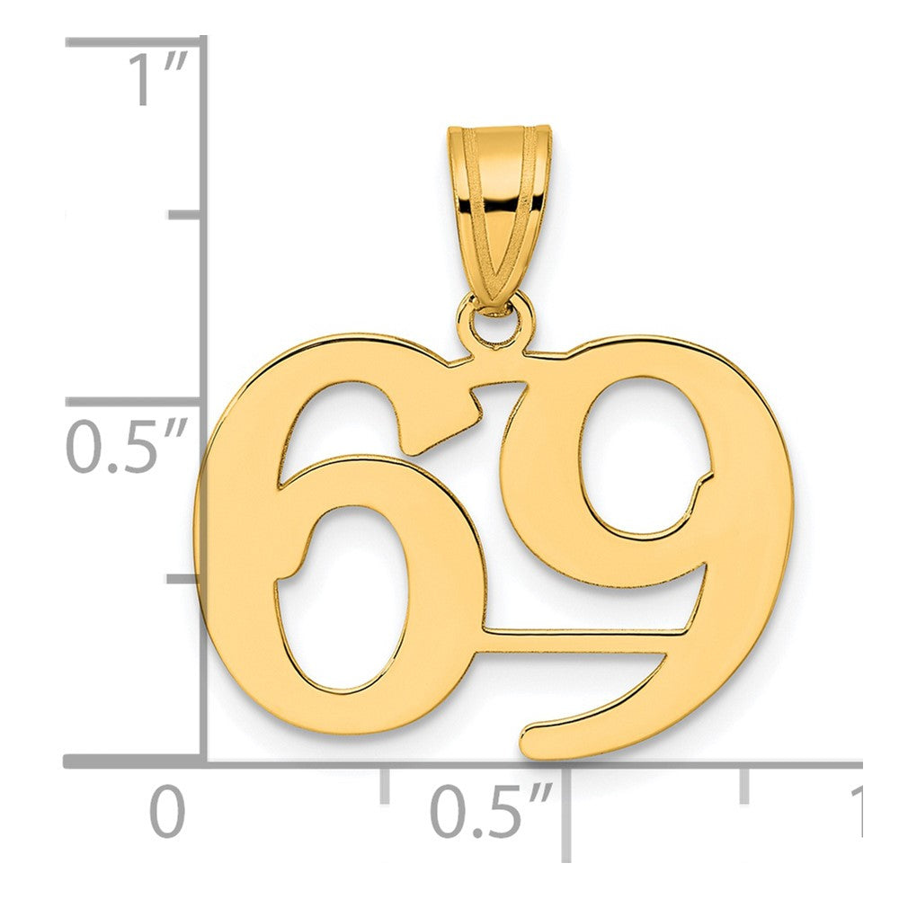 14k Polished Number 69 Pendant