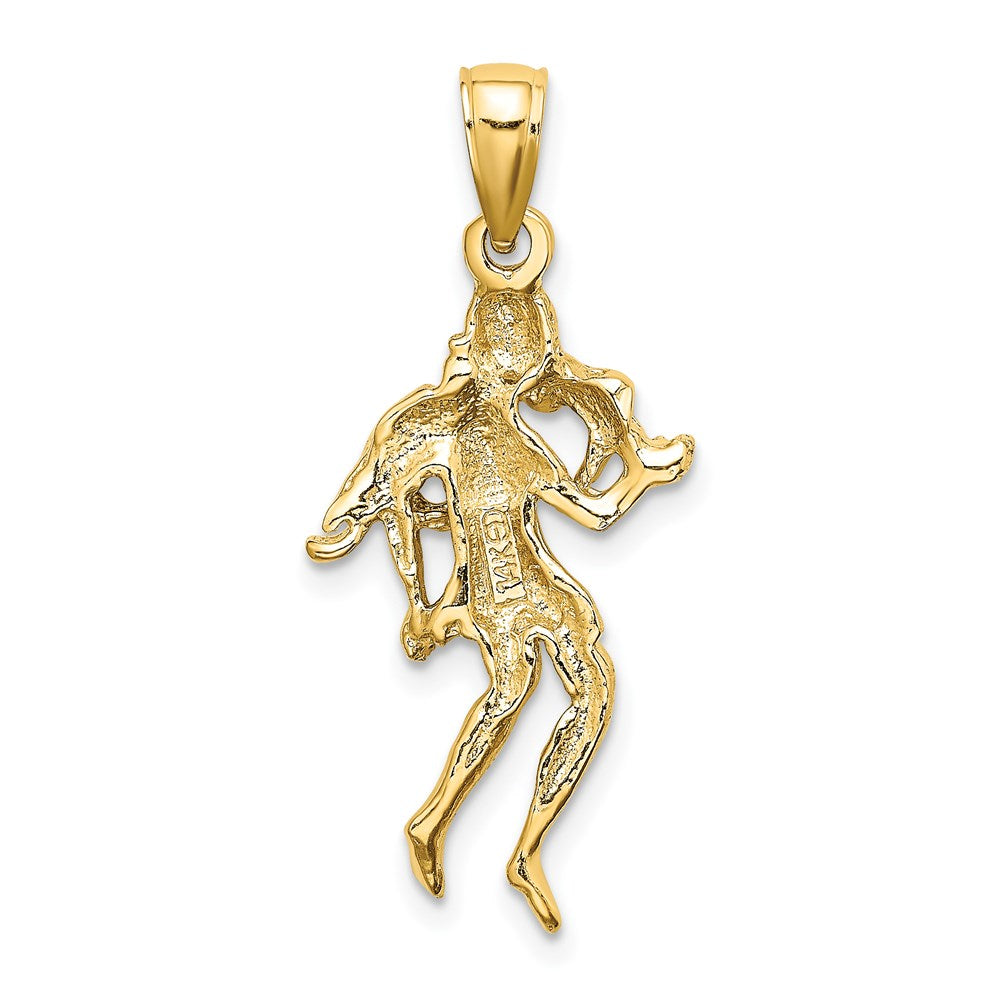 14k Large Virgo Zodiac Charm