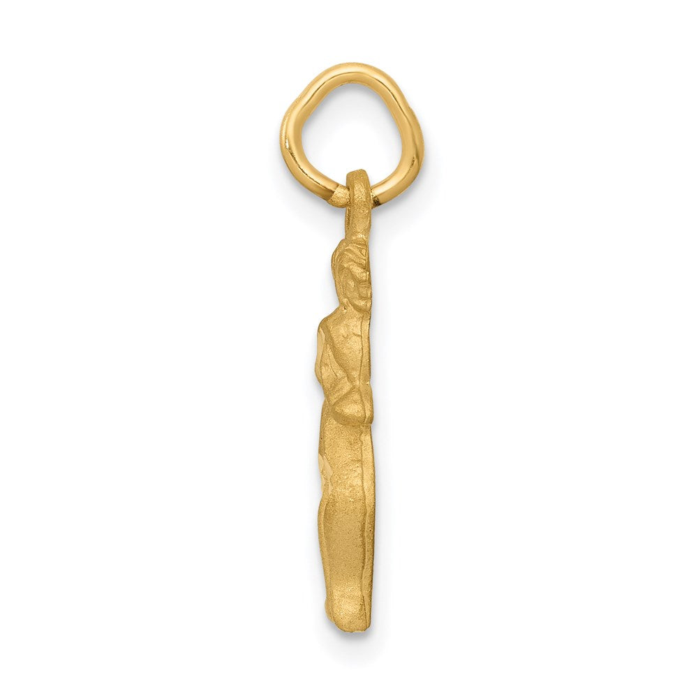 14k Satin Diamond-cut Gemini Zodiac Charm