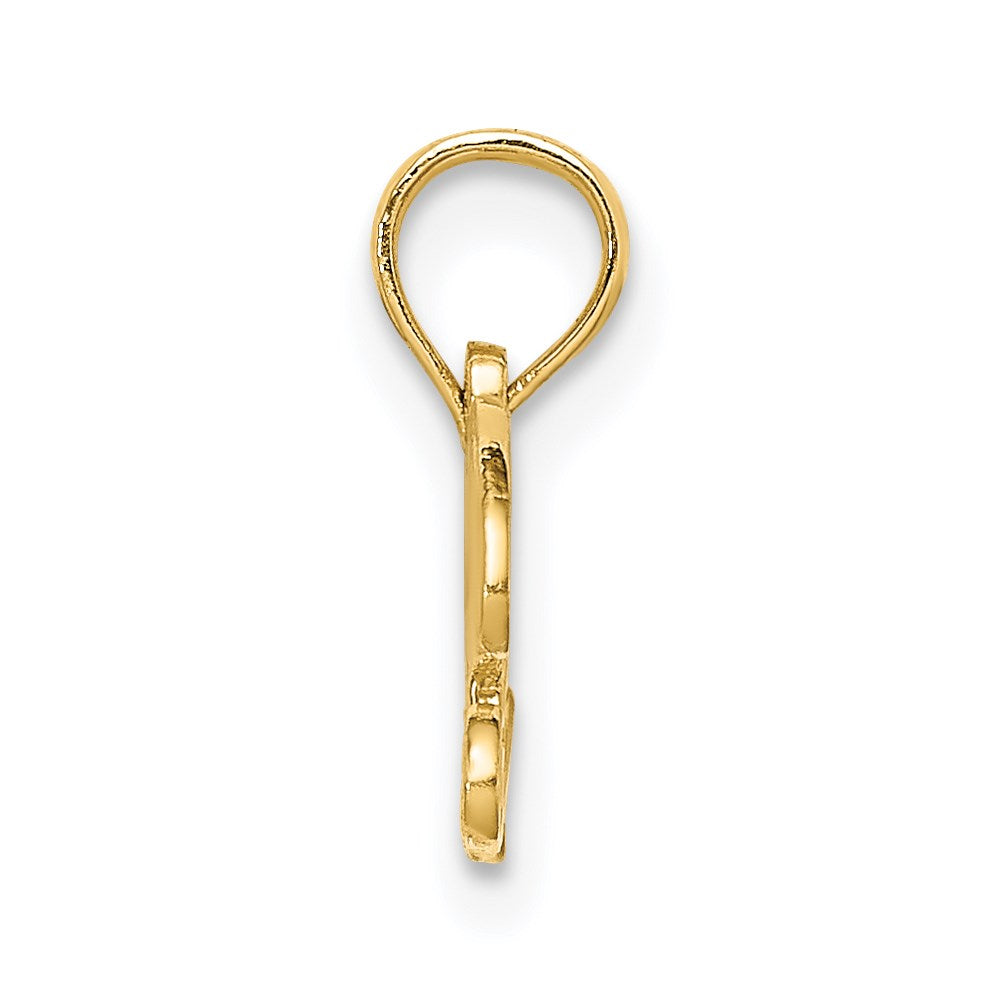 14K PRECIOUS Charm