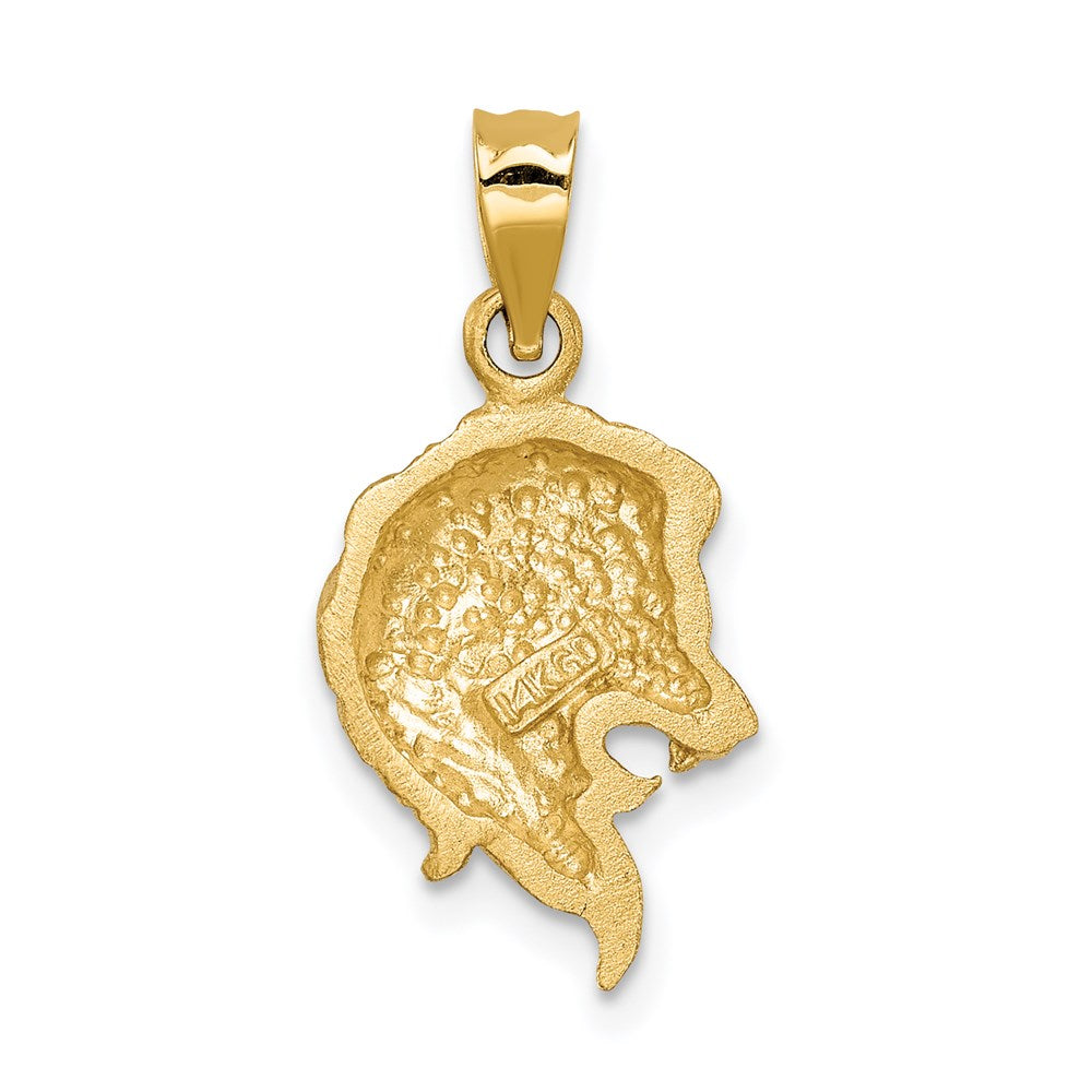 14K Brushed Diamond-cut Lion Head Pendant
