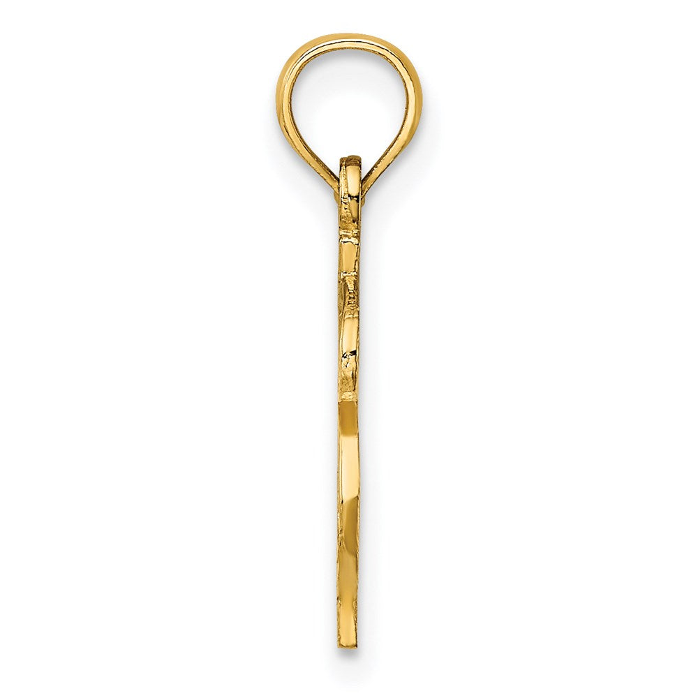 14K Dollar Sign Charm