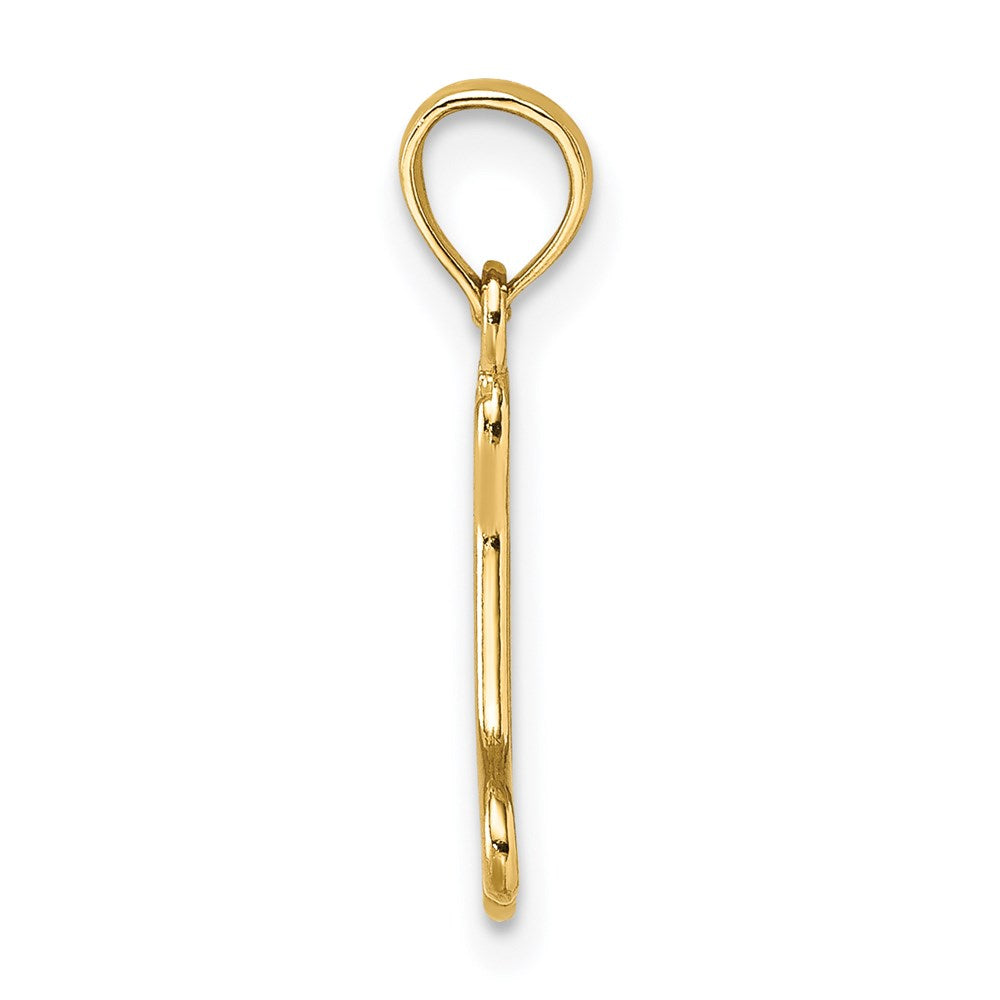 14K Cut-Out Polished Mini Dog Bone Charm