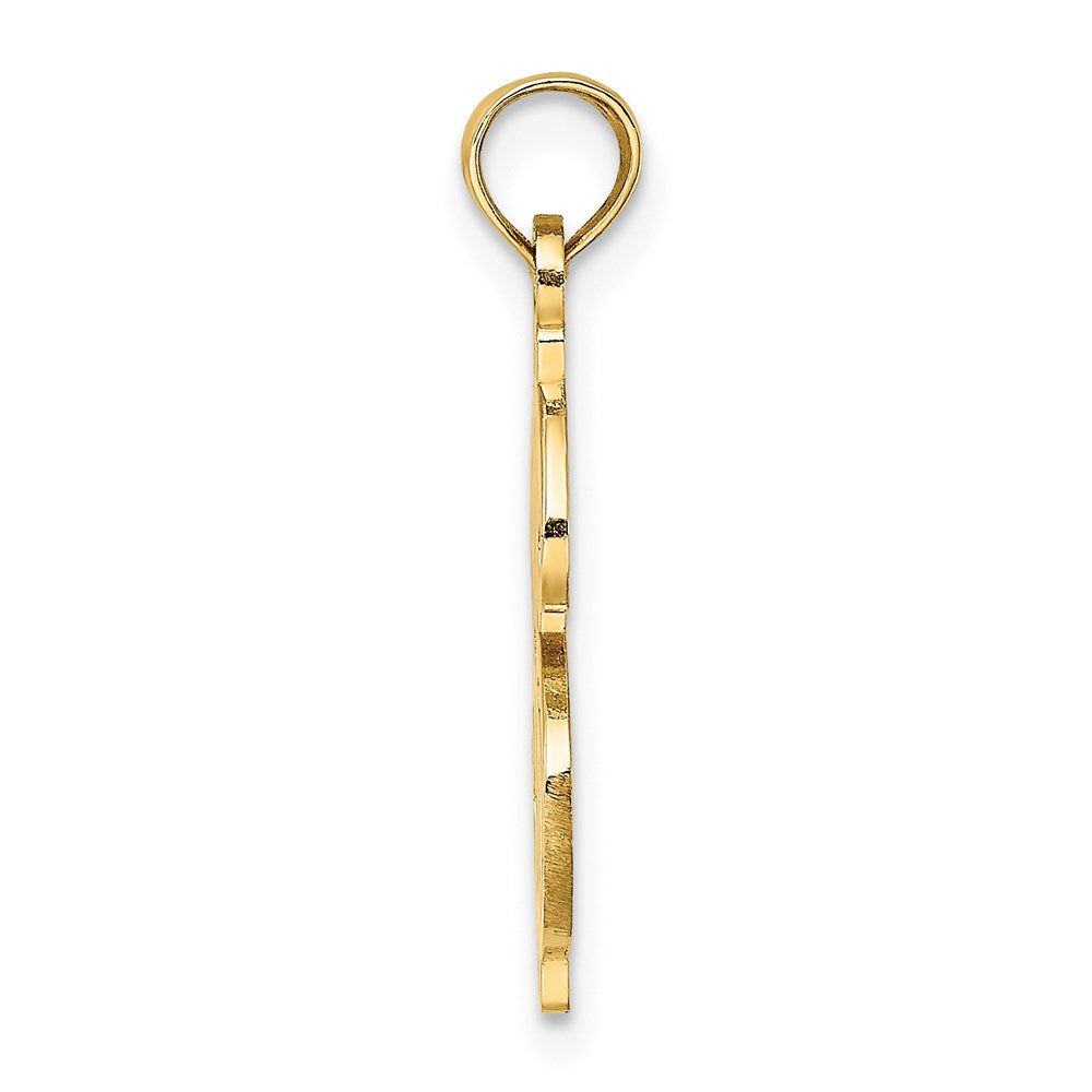14K Textured Dollar Sign Charm