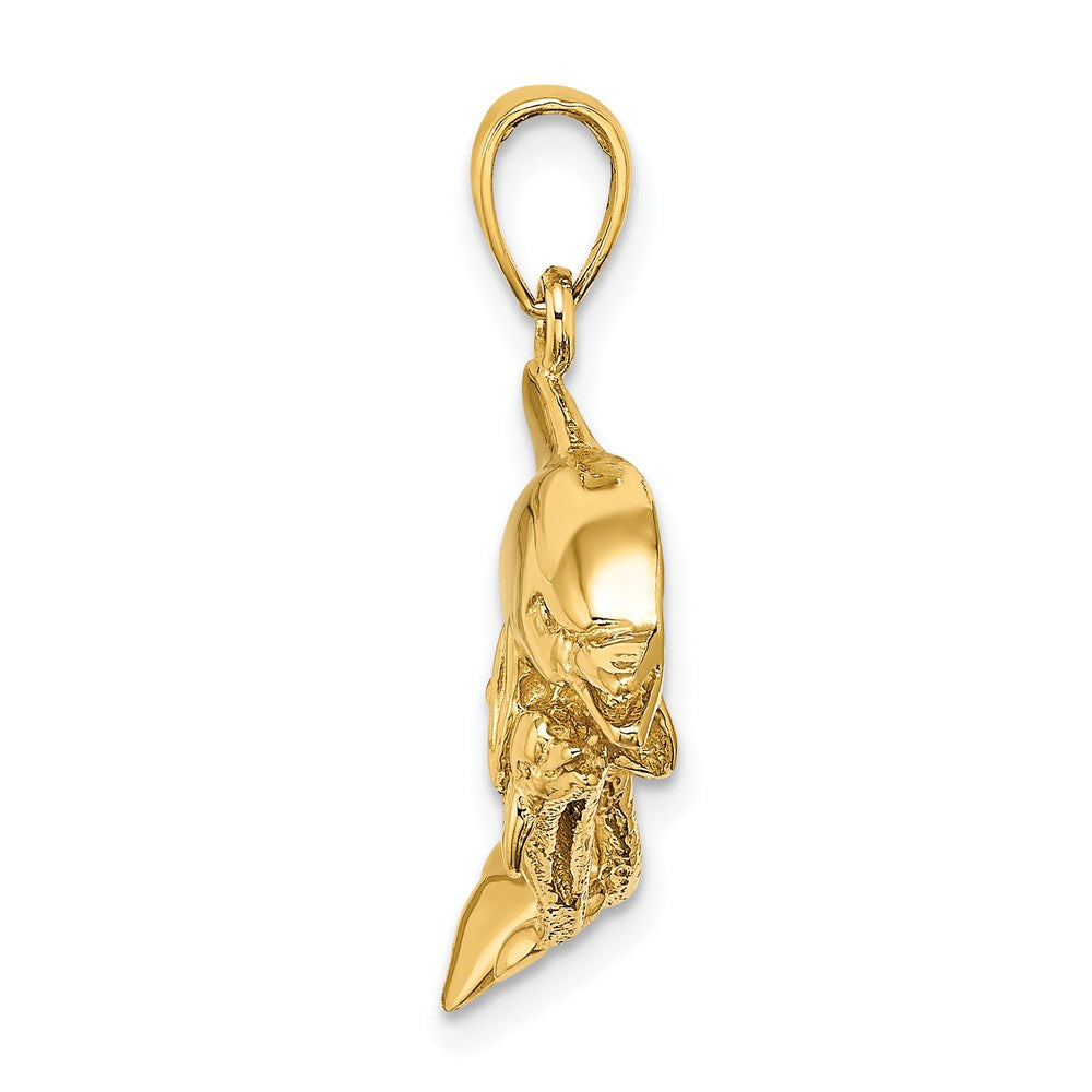14K 2-D Two Swimming Dolphins Charm