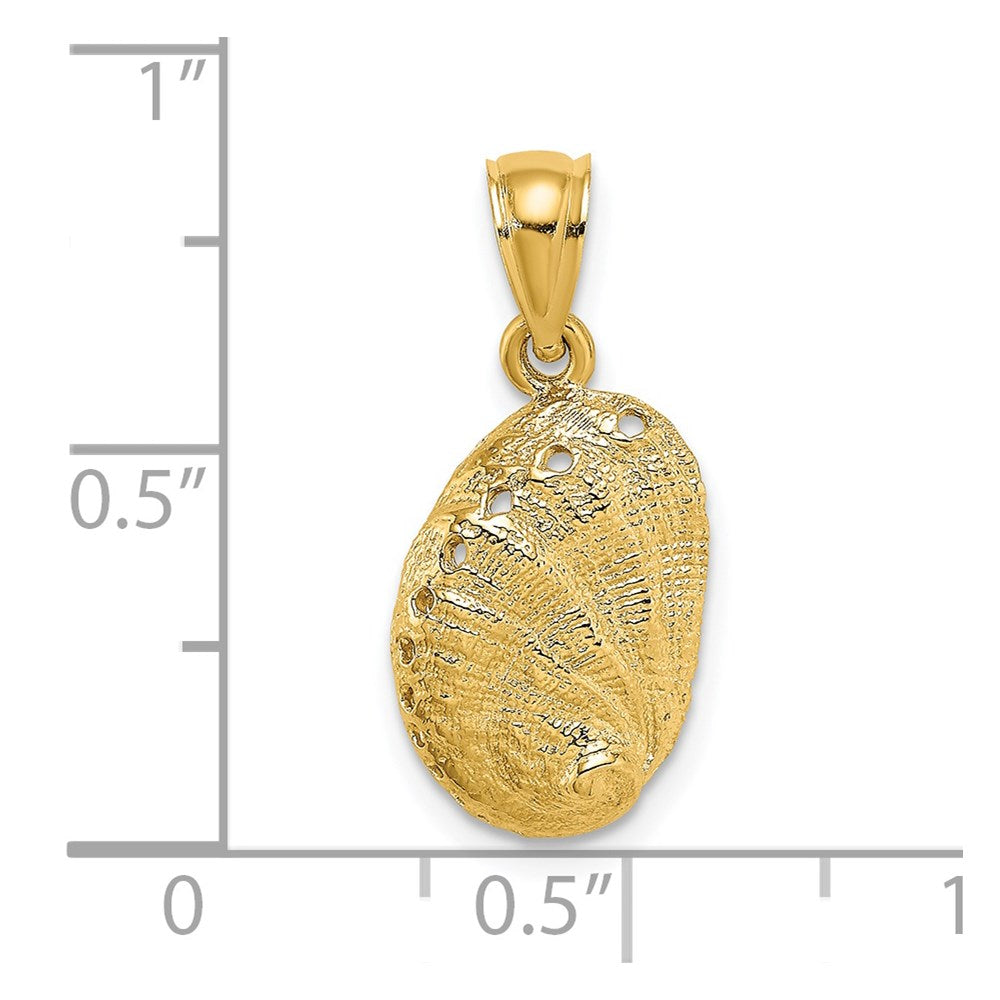 14K Abalone Shell Charm