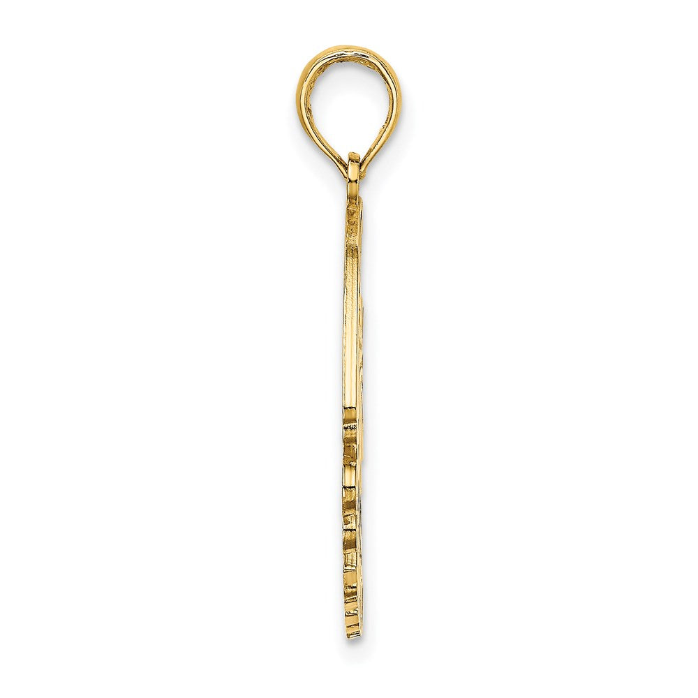 14K Polished CURACAO Under Angelfish Charm