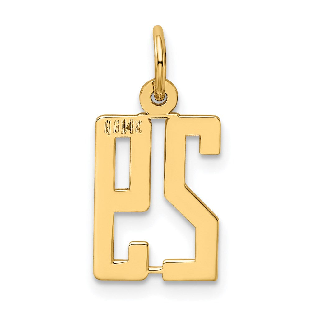 14k Small Elongated Number 29 Charm