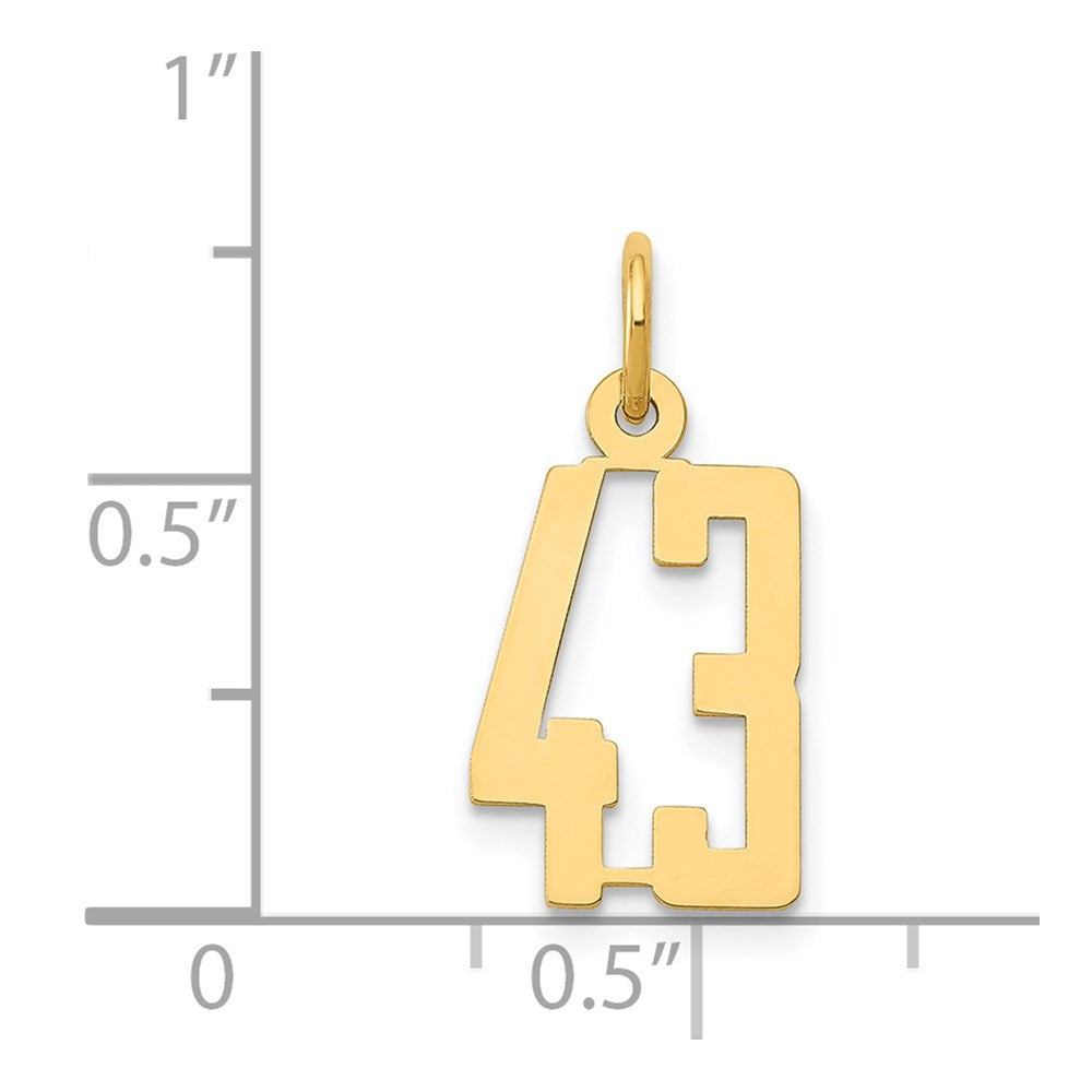 14k Small Elongated Number 43 Charm
