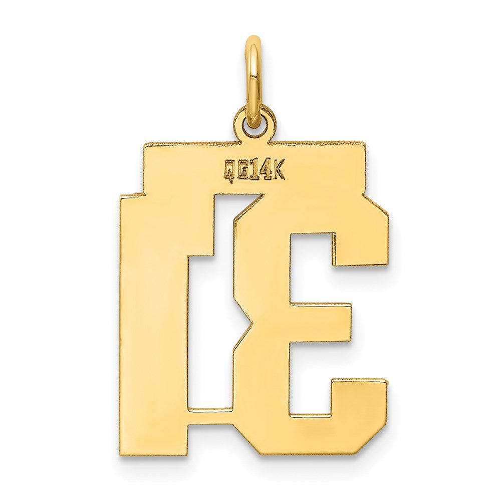 14k Medium Polished Number 31 Charm